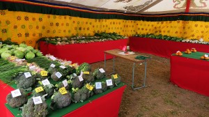 Vegetables displayed during the crop competition and exhibition  